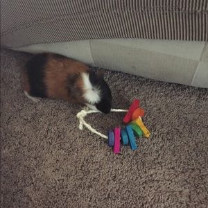 Meet your Posher, Taisha